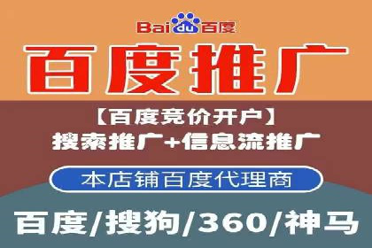 SEM代理助力企业：成功案例分析